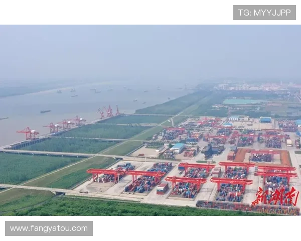 岳阳企业家创新驱动发展 助力地方经济转型升级 岳阳企业家创新驱动发展 助力地方经济转型升级